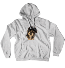qtfshy_yt Hoodies (No-Zip/Pullover)