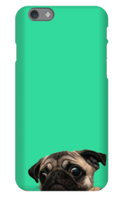 pugzzz iPhone Phone Cases