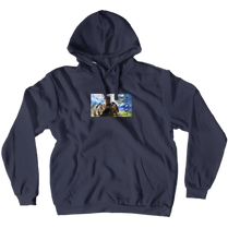 djsmart29 Hoodies (No-Zip/Pullover)