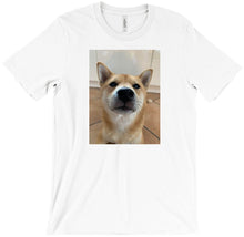Hoshiko´s T-Shirt