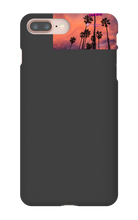 palm seas limited case