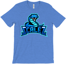 scaleztv T-Shirts