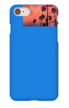 palm seas limited case