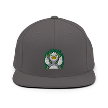 Shawn Flick Toxic Snapback