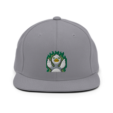Shawn Flick Toxic Snapback