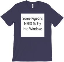 window pigeons