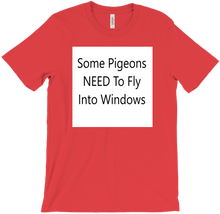 window pigeons