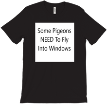 window pigeons