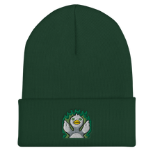 Shawn Flick Toxic Beanie