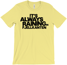 IT'S ALWAYS RAINING IN FJELLY alt