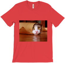 Funny Taco Cat T-Shirt