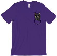 Salem in your Pocket - T-shirt
