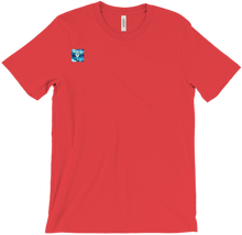 fuzionsnow12 T-Shirts