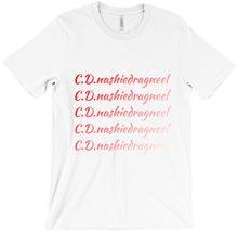 nashiedragneel T-Shirts