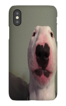 WALTER IPHONE CASE