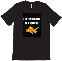 I have the brain of a goldfish