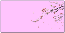 Cherry Blossom (18x36)