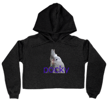 pocky cropped hoodie