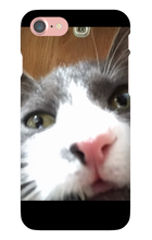 gullkatten iPhone Phone Cases