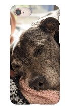 JustOkayAtGaming iPhone Bruce Phone Case