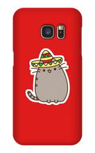 Kitty Tako Case
