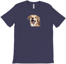 dafurryb T-Shirts