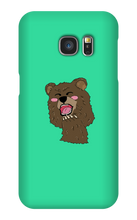 BEAR CASE