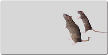 Mousepad XXL de vieux rat