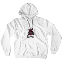 ttvbreezy113 Hoodies (No-Zip/Pullover)
