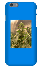 Hard On iPhone Case