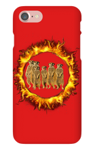 olha_o_suricata iPhone Phone Cases