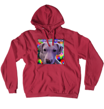 bil5000 Hoodies (No-Zip/Pullover)