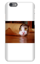 Funny Taco Cat Iphone Case