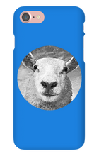 GraySheep  iPhone Cases