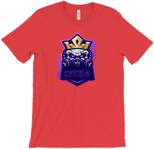T-shirts del team