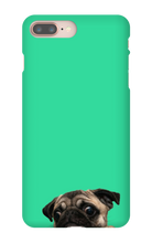 pugzzz iPhone Phone Cases