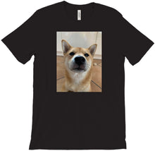 Hoshiko´s T-Shirt