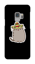 Kitty Tako Case