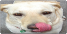 cupbtw XXL Gaming Mousepad