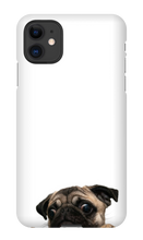 pugzzz iPhone Phone Cases