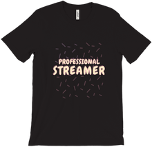 PROFESSIONAL STREAMER
