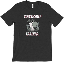 Classically Trained T