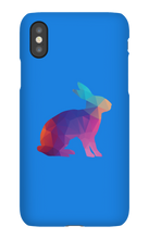Conejo Arcoiris Funda iPhone