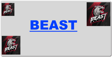 BEAST gaming
