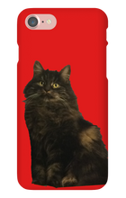 katten23cool iPhone Phone Cases