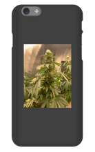 Hard On iPhone Case
