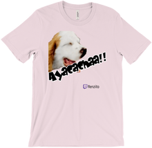 Ayacacha T-Shirts