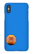 jl016 iPhone Phone Cases