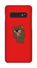 BEAR CASE