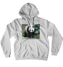 buckeyegamer10 Hoodies (No-Zip/Pullover)